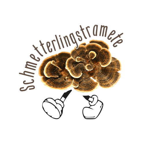 Huhu. Ich mag mich vorstellen:
Schmetterlingstramete,
Trametes Versicolor.
Ich wachse sehr häufig auf alten Baumstämmen,
Bänken oder Pfosten, fast überall findet ihr mich.
Beschrieben werd ich als vielfarbiger Porling an einen
Schmetterling erinnernd. An mir ist nur wenig zähes Fleisch deswegen ist mein Speisewert gering.
Mich kann man allerdings im Wald als Kaugummi kauen,
oder als Vitalpilz im Tee verwenden.
Als Schmetterlingstramete breite ich meine bunten Flügel aus und flattere durch den Organismus, um virale,
bakterielle und radikale Endgegner auszuschleusen.
Unter meinen Flügeln ist man vor oxidativen Stress geschützt.
Gerade in den winterlichen Monaten bringe ich extra viel
Immunsystempower, Abwehrstärke und helfe beim
Aufpäppeln nach langen Erschöpfungsphasen.
Mit mir an der Seite wird jede Erkältung, Grippe & viraler
Infekt (Herpes oder HIV) spurlos an dir vorübergehen.
An die Schmetterlingstransformation angelehnt,
lassen sich meine Inhaltsstoffe und deren Wirkung
beschreiben: Ich ziehe dich aus Autoimmunsituationen raus,
ich unterstütze bei Krebs-Behandlungen und beuge diese auch vor, ich kann Blutzuckerspiegel regulieren und bin zu Stelle wenns das Nervensystem langsam aufgibt.
Ich kann Gesundheitszustände transformieren.
Ich wirbele viel Energie auf und bringe wichtigen Schutz mit.
Ich mache munter & gesund und beflügele das Leben.