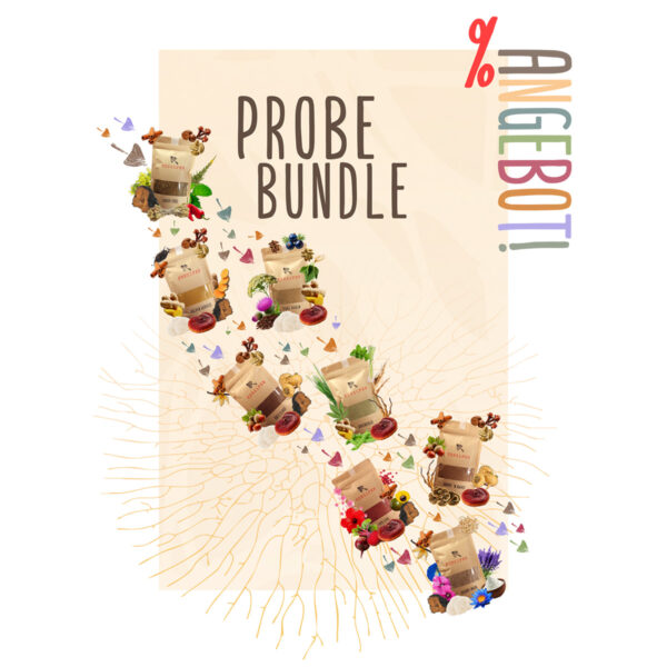 Probebundle